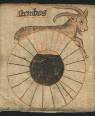 Tierkreiszeichen: Capricornus