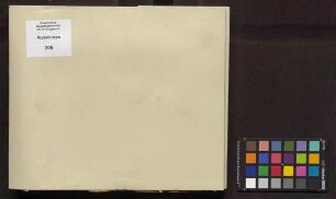 Einsatz bei Verdun, Beilagen zum Kriegstagebuch: Korpsbefehle, besondere Anordnungen, Kriegsgliederungen, telegraphische Meldungen, Unterkunftsübersicht, Karten und Skizzen