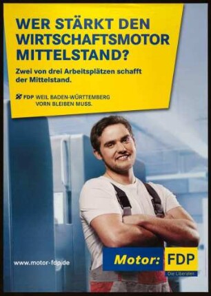 FDP, Landtagswahl 2011
