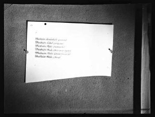 Verschiedene Schriftmuster zu Wertheim-Bestenheid u.a.