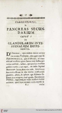 Commentarius, in pancreas secundarium