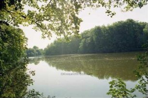 Mühlenteich