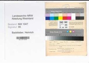 Entnazifizierung Heinrich Badstieber , geb. 06.03.1886 (Buchhalter)