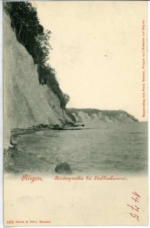 Rügen. Küstenpartie