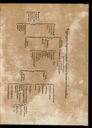Typus genealogicus regiae prosapiae ac stemmatis Serenissimi Suecorum Regis.