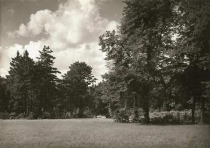 Dresden. Schloss Eckberg. Parkwiese