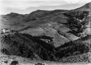 Bergkette : Blick in ein mit Bäumen bewachsenes Tal der Cordillera de Sombreros
