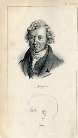 Ampère. Calcul