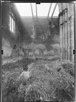 Erfurt. Ruine der Barfüßerkirche. Inneres
