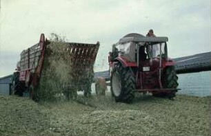 Fotografie: Ein- und Auslagerungstechnik, Flachsilo, Fahrsilo, Silomais, Kratzboden, Walzen