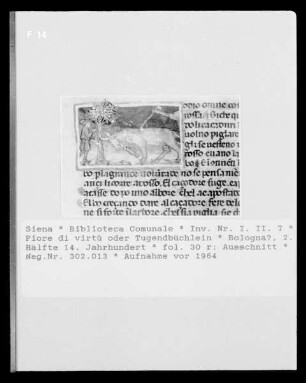 Piore di virt- / Tugendbüchlein — Piore di virt- / Tugendbüchlein, Folio fol. 30 rBuchseite