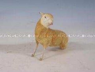 Weihnachtskrippe: Schaf