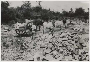 Abtransport von Sandstein, Aquidauana