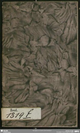 Des Ritters Carl von Linné Termini conchyliologici oder Kunstwörter für Schnecken und Muscheln : lateinisch und deutsch