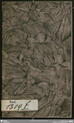 Des Ritters Carl von Linné Termini conchyliologici oder Kunstwörter für Schnecken und Muscheln : lateinisch und deutsch