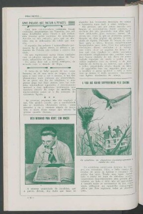 A vida das águias surpreendida pelo cinema