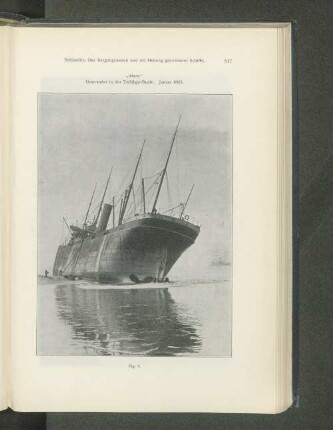 „Islam." Gestrandet in der Trafalgar-Bucht. Januar 1893.