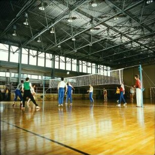 Sport, Volleyball-Mannschaft