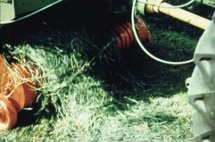 Fotografie: Futtererntetechnik, Ladewagen, Pickup