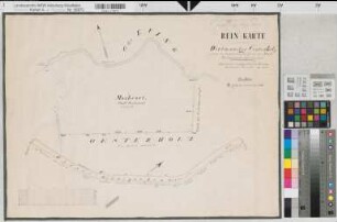Dortmund (Dortmund), Teilung des Oesterholzes, Borgholzes und Westerholzes, Reinkarte Abtretung des Oesterbauerschaft aus dem Oesterholz an die Stadt