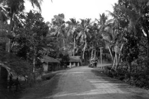 Kandy Road bei Colombo (Deutsche Indien-Expedition 1926/1929 - 1. Sri Lanka)