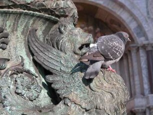 Venedig, bronzener Löwe vom Fahnenmast vor dem Markusdom mit einer Taube vor dem Maul
