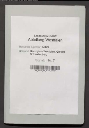 Fiscus Werl gegen Vikar Hengesbach in Schmallenberg wegen Erregung öffentlichen Ärgernisses