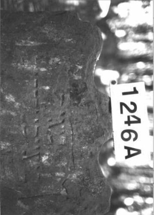 Grabstein 1246 (Index: 99900050) Material: Sandstein Zustand: stark verwittert Maße HxBxT: 82x69x7 cm Beschreibung: Stele mit geschweiftem Schulterbogenabschluss, im Bogenfeld Ranken Symbolik: Ranken: Grabstein 1246A