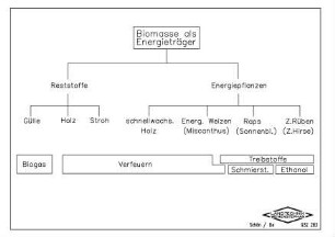 Biomasse als Energieträger