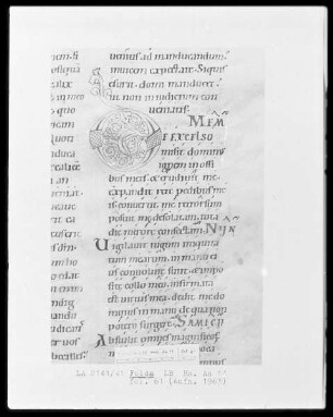 Lectionarium Matutinale — Initiale D, Folio 61recto