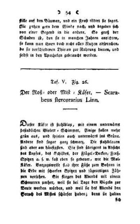 ¬Der¬ Roß- oder Mist-Käfer : Scarabeus stercorarius Linn ; Taf. V, Fig. 26