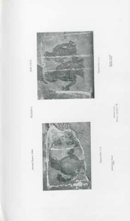 Plate XVII. Sígiriya. Sígiri-Gala. Fresco "pocket" B.
