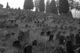 Schmieheim: Judenfriedhof bei Schmieheim
