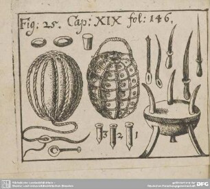 Cap: XIX. Fig: 25. fol: 146.