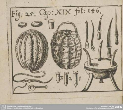 Cap: XIX. Fig: 25. fol: 146.