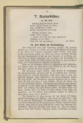 V. Naturbilder