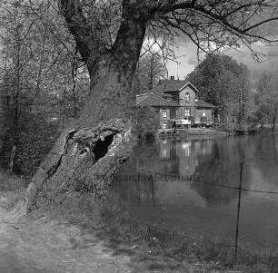 Mühlenteich: vorn Zaun: links Baum: hinten rechts zwischen Bäumen Mühle: davor Lkw mit Anhänger