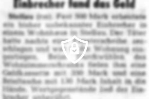 Einbrecher fand das Geld