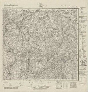 5438 (alte Nr.: 3181) Gräfenthal, Topographische Karte 1:25000 (4cm - Karte)