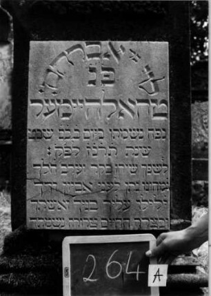 Grabstein 264 [Nir S. 182f. Nr. 16.24]: Grabstein 264A [Nir S. 182f. Nr. 16.24]