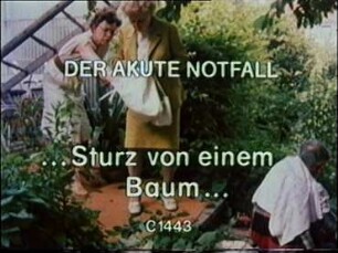 Sturz von einem Baum