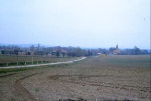 Zufahrtsstraße mit jungen Bäumen, Blick zum Ort