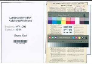 Entnazifizierung Karl Gross , geb. 11.06.1904 (Zollbeamter)
