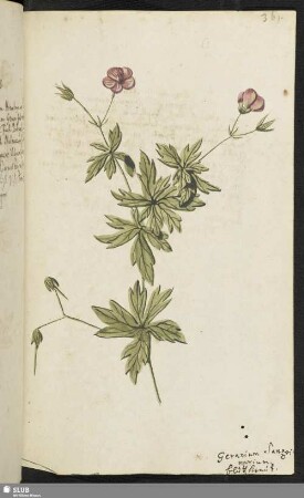 [Blatt 361-380]