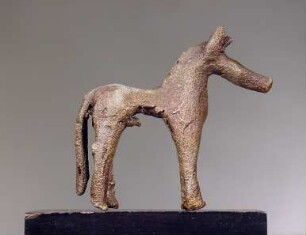 Pferd (Hengst)