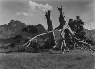 Savanne : Savanne nahe der westlichen Uluguru-Berge. Im Bildhintergrund der Berg Pagali