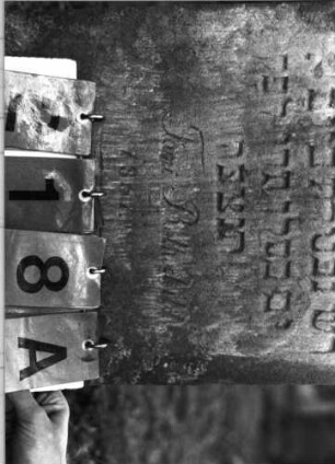 Grabstein 218 (Index: 99795910) Maße HxBxT: 86x42x11 cm Symbolik: Blüte Besonderheit: Kindergrab: Grabstein 218A
