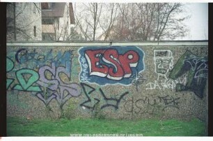ESP
