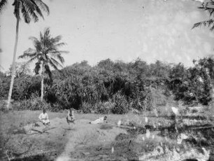 Strand bei Lindi (Deutsch-Ostafrikaexpedition 1906-1907)