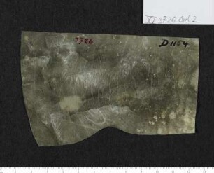 CIL XV 3726 β, Gelatinefolie